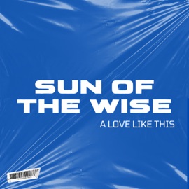 A love like this (feat. Nicole Bus) sun of the wise