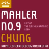 Mahler: Symphony No. 9 in D Major (Live) artwork