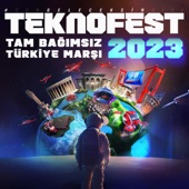 Tam Bağımsız Türkiye artwork