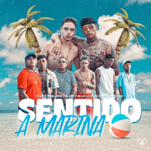 Sentido a Marina (feat. Mc Piedro, MC Lemos & MC Lele JP)