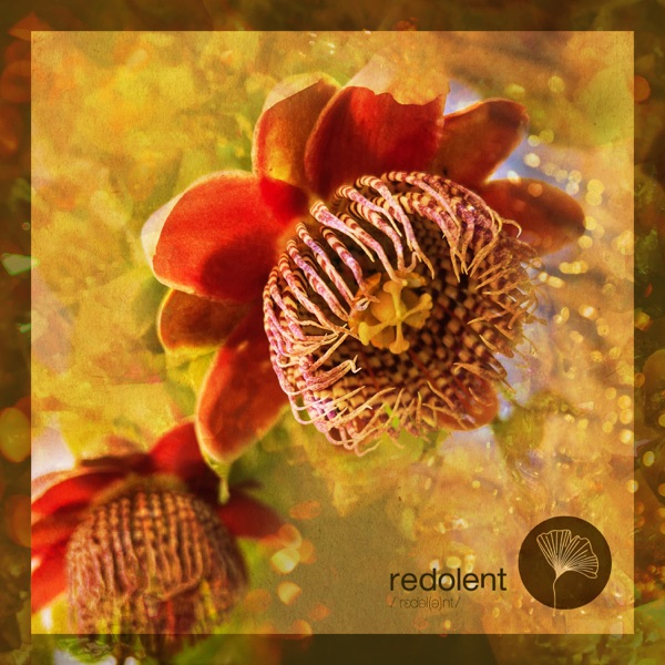 Bombo - Single