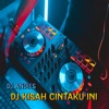 DJ Kisah CIntaku Ini - Single