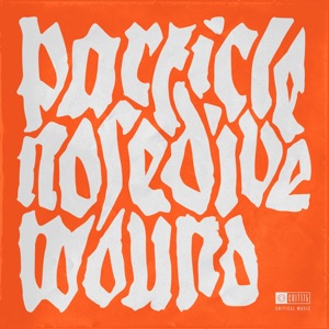 Nosedive / Wound - Single