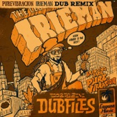 Irieman Dub (Paolo Baldini Dubfiles Remix) artwork