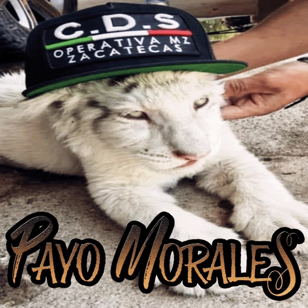 Operativo Mz (El Macho Wero) (feat. Diego Sierra)