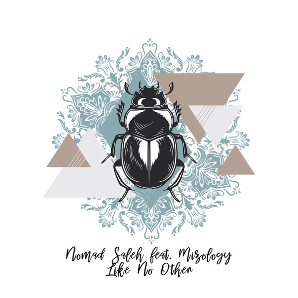 Like No Other (Radio Edit) [feat. Mizology] - Single