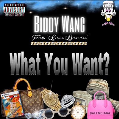 What you want (feat. Brii Bandss) - Single