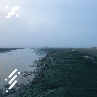 gray matter - Single
