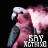 Say Nothing - Single