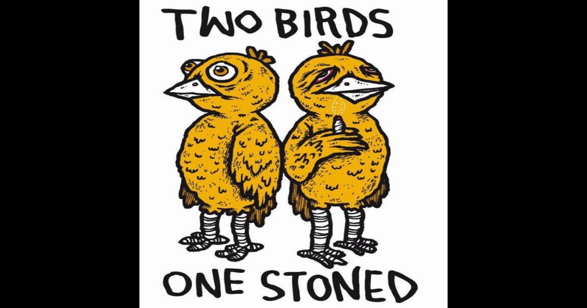 Two Birds One Stoned - EP - Album by DeemDire - Apple Music