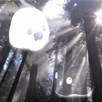 Ghost Plush - Single - DryBonez