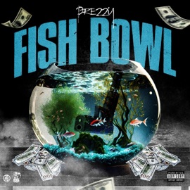 Fish Bowl Prezzy