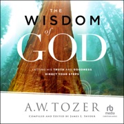 The Wisdom of God : Letting His Truth and Goodness Direct Your Steps - A.W. Tozer & James L. Snyder