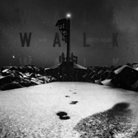 WALK (feat. Tizzy Fields) - Single - Jafri
