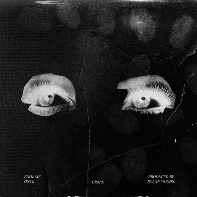 Fool Me Once - Single