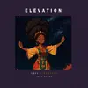 Lofi Afrobeats - Elevation (feat. Josh Namba) [African Lofi]