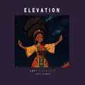 Lofi Afrobeats - Elevation (African Lofi) feat  @JoshNamba
