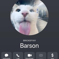 Look Fine - Single - BrickofYay