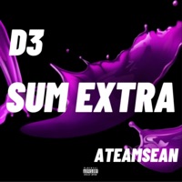 D3 (Sum Extra) (feat. ATeamSean) - Single - The A-Team