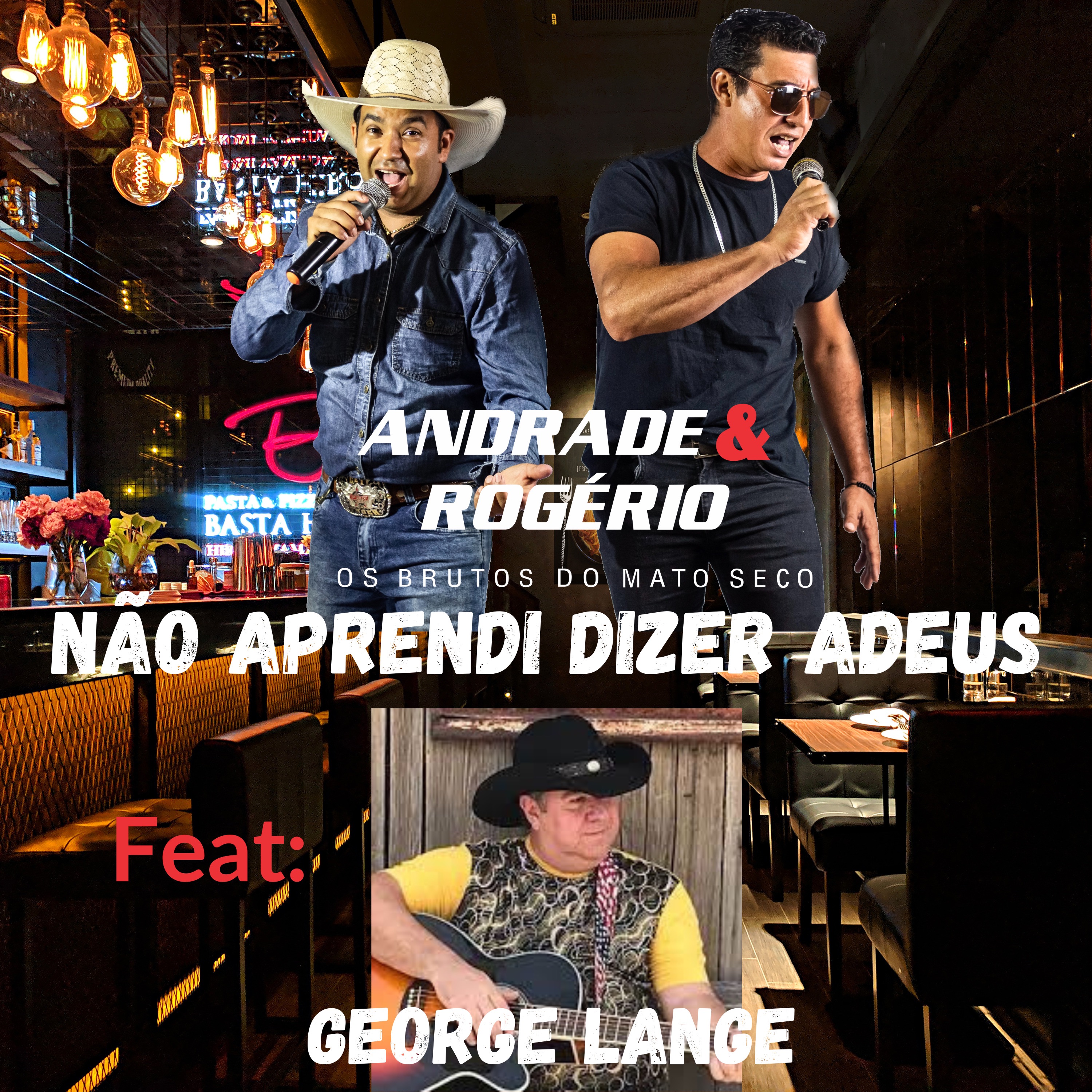 Não Aprendi Dizer Adeus - Single