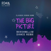 The Big Picture (Marshmallow Dance Remix) - Single - Claudia Robin Gunn