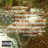 Swamped - Single - Coherent