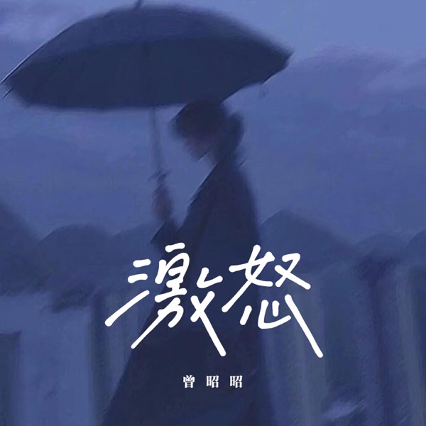 激怒 - Single
