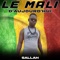Le Mali d'aujourd'hui - Sallah lyrics