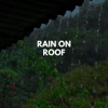 Rain on Roof