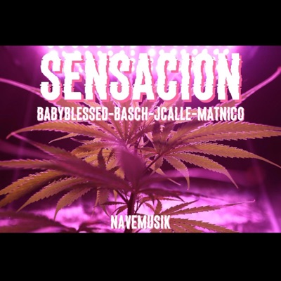 Sensación (feat. Basch & JCalle) - Single