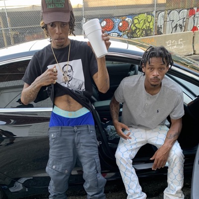 TOTR (feat. D Slash) - Single