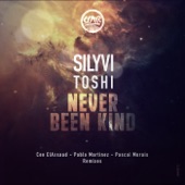 Never Been Kind (Cee ElAssaad Remix) [feat. Toshi] artwork