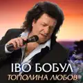 Жоржини