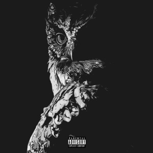 O.W.L.S (feat. Owlkast)