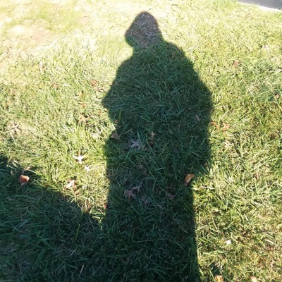 The Purpose of Torpor - Single