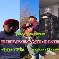 PERREANDOME (feat. 4nn7u & Young flow) - Single - jay joche