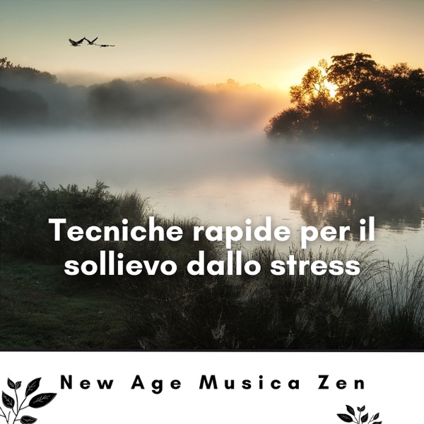 Tecniche Rapide Per il Sollievo Dallo Stress