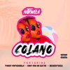 Colano (Nthwela) (feat. Phindy Maphendola, Enny man da Guitar & Dickierforce) - Single