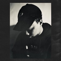 Peace of Mind - Qthree & BudaMunk