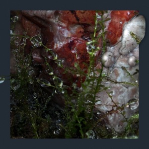 Close Vicinity - Single