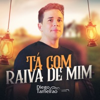 Tá Com Raiva de Mim - Single - Diego Tameirão