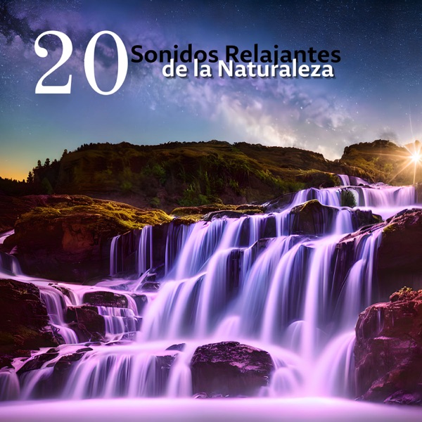 20 Sonidos Relajantes de la Naturaleza - Aguas Calmantes y Ruidos de la Tierra para Mejorar la Meditación y el Sueño