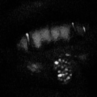 vroom! (feat. !Aps!) - Single - LUVJAAYO