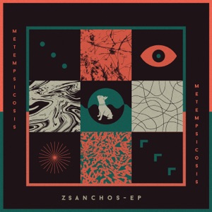 Metempsicosis by Zsanchos - Single