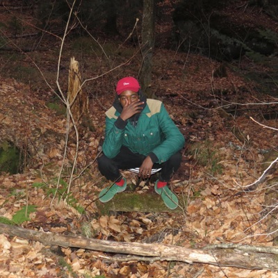 Lost Chunes, Vol. 4