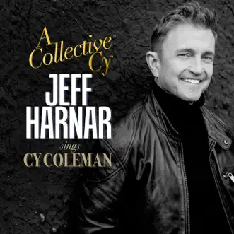 I've Got Your Number (feat. Ann Hampton Callaway) by Jeff Harnar song reviws