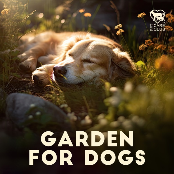 Garden for Dogs (Serenity for Pets Alone at Home)