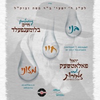 ר׳ ישעי׳לע (feat. Zemiros Choir & Chaim Blumenfeld) [Reb Shayaleh] - Single - Yoily Polatseck