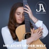 Mei Licht in der Welt - Single