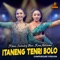 Itaneng Tenri Bolo (feat. Rina Aditama) artwork